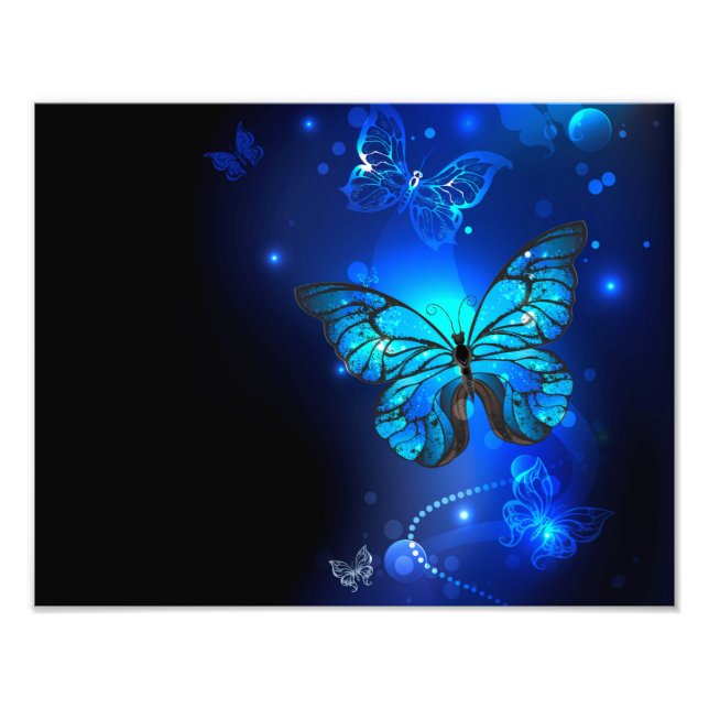 Morpho Butterfly in the Dark Background Photo Print (Front)
