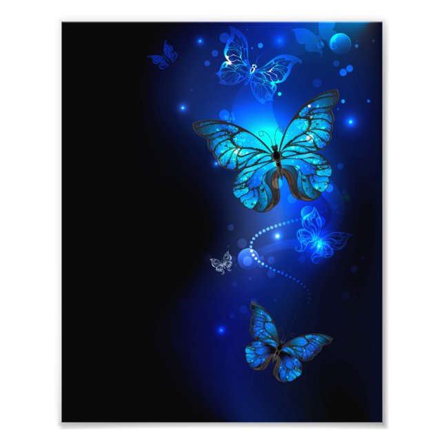 Morpho Butterfly in the Dark Background Photo Print (Front)