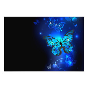Morpho Butterfly in the Dark Background Photo Print