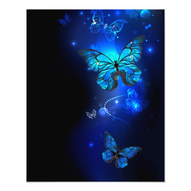 Morpho Butterfly in the Dark Background Photo Print (Front)