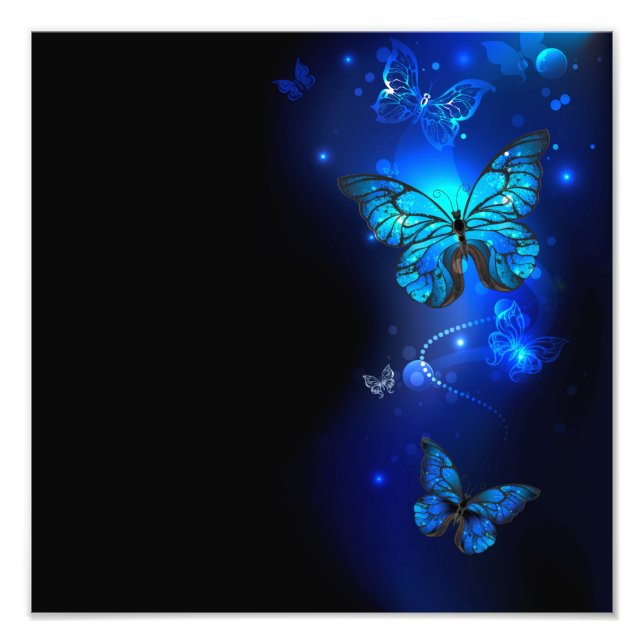 Morpho Butterfly in the Dark Background Photo Print (Front)