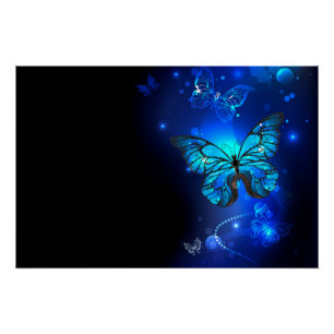 Morpho Butterfly in the Dark Background Poster