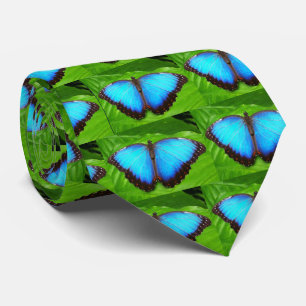 Morpho peleides tie