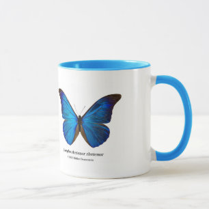 Morpho rhetenor rhetenor mug
