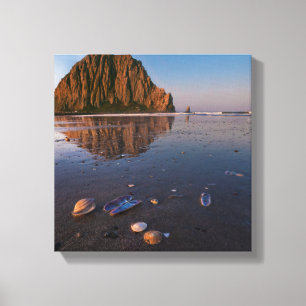 Morro Rock Reflecting In Wet Sand Canvas Print