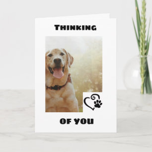 *MORT CHIEN DIT AVOIR UNE CARTE D'ANNIVERSAIRE HEU