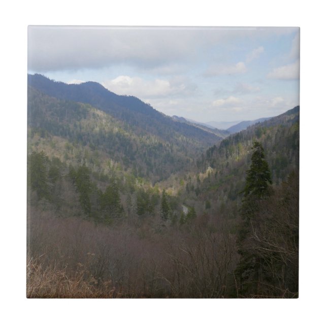 Morton Overlook at Great Smoky Mountains Tile (Front)