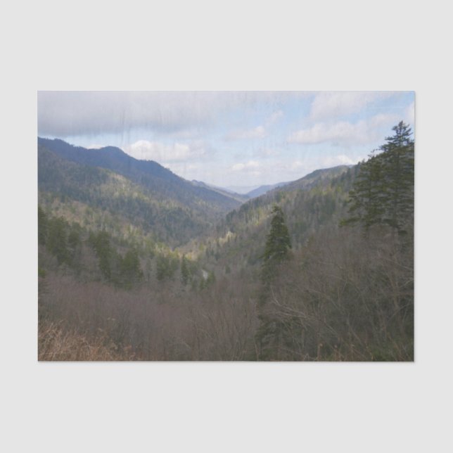 Morton Overlook at Great Smoky Mountains Tissue Paper (Front)