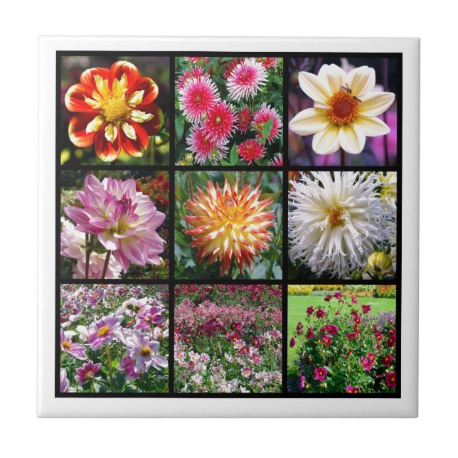Mosaic dahlia flowers tile (Front)