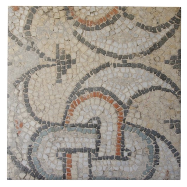 Mosaics of Meydankapi, circa 4th century A.D. Tile (Front)