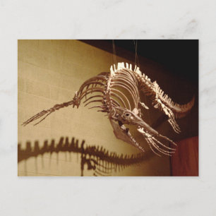 Mosasaur - "Sea Lizard" Postcard