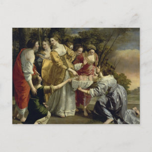 Moses Rescued from the Nile, c.1630 Postcard