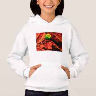 mosquito explorer