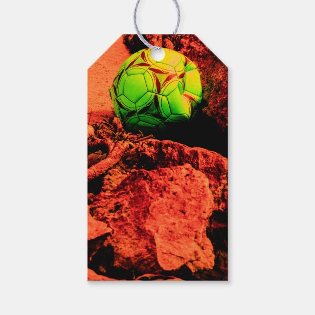 mosquito explorer gift tags (Front)