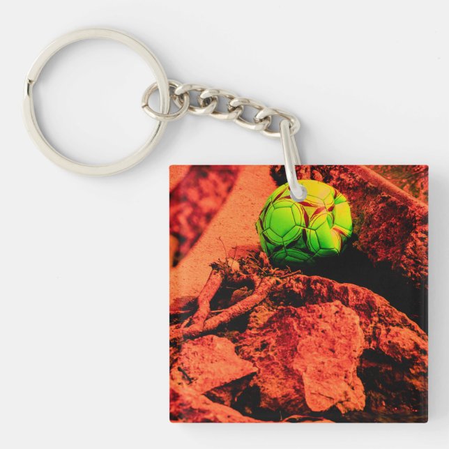 mosquito explorer keychain (Front)