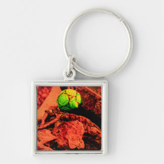 mosquito explorer keychain