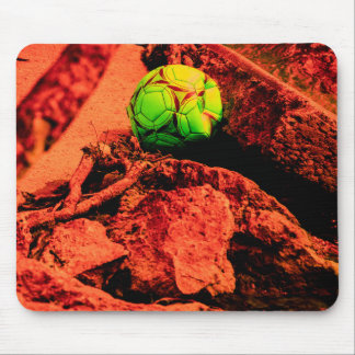mosquito explorer mouse pad