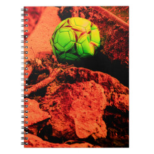 mosquito explorer notebook