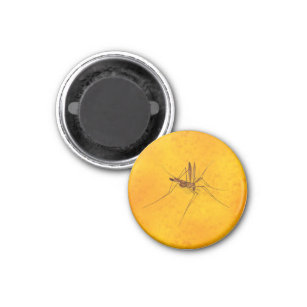Mosquito in Amber Sap Fossil Replica Prehistoric Magnet