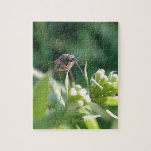 mosquito with turquoise eyes jigsaw puzzle