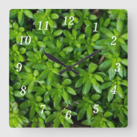 Moss Abstract Wall Clock