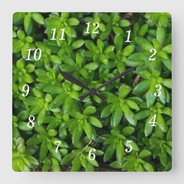 Moss Abstract Wall Clock (Front)