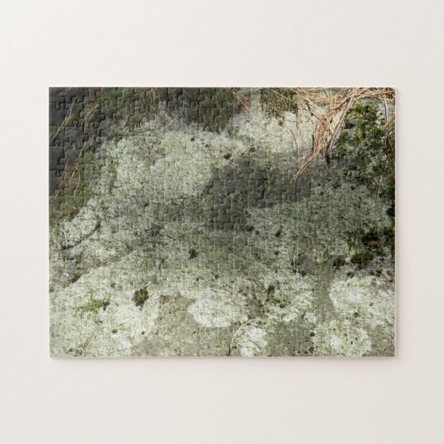 Moss and Lichen on Rock Jigsaw Puzzle (Horizontal)