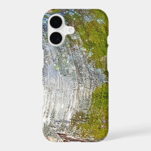 Moss Birch Tree Bark Rustic Country Nature Photo