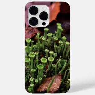 moss Case-Mate iPhone 14 pro max case