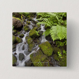 Moss covered rocks with blurred water and ferns 2 inch square button