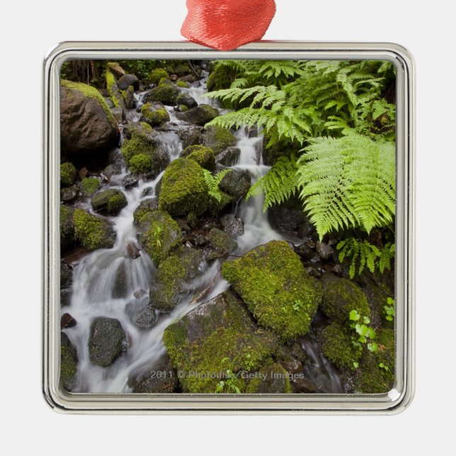 Moss covered rocks with blurred water and ferns metal ornament (Front)