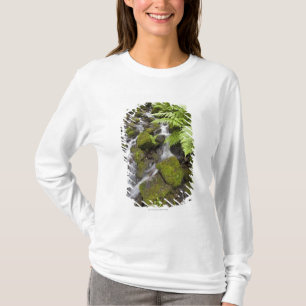 Moss covered rocks with blurred water and ferns T-Shirt