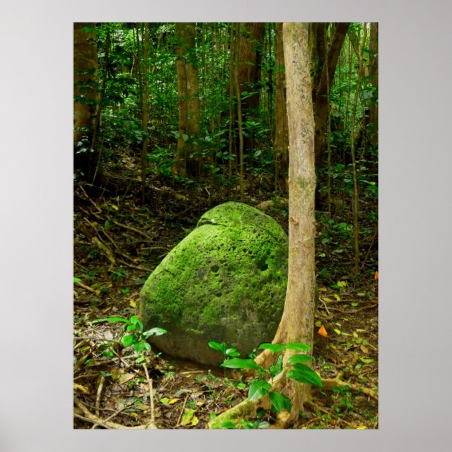 Moss-covered Stone Poster (Front)