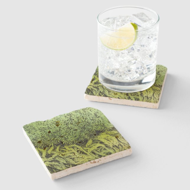 Moss drawing with green overlay coaster (Side)