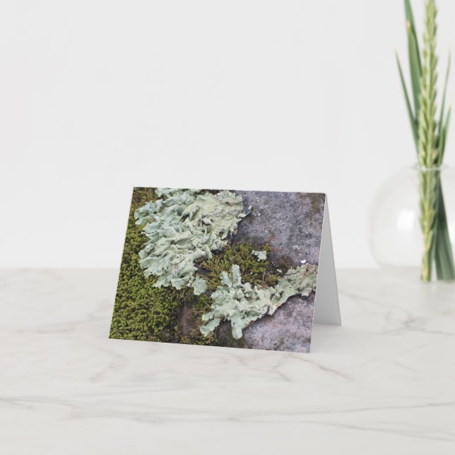 Moss et Lichen Carte pour notes (Devant)