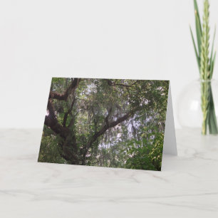 Moss Forest Canopy Custom Louisiana Cartes de voeu