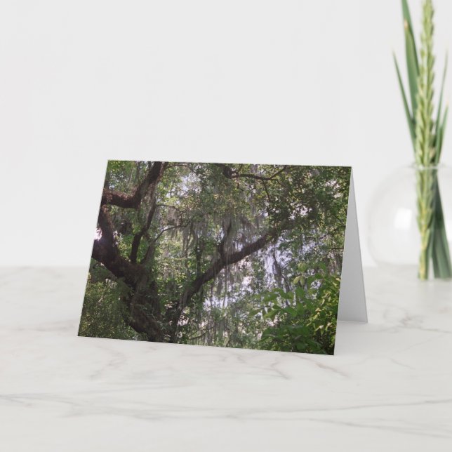 Moss Forest Canopy Custom Louisiana Cartes de voeu (Devant)