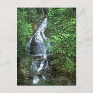 Moss Glen Falls Stowe Vermont Postcard