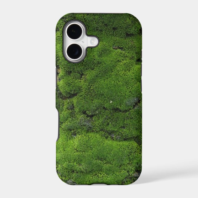 Moss Green (Back)