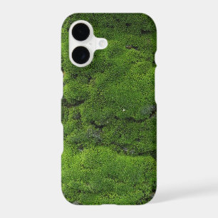Moss Green