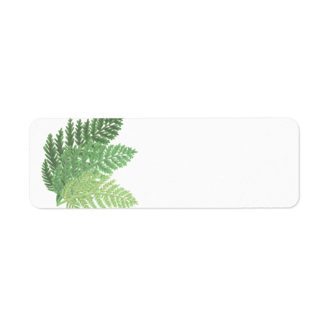 Moss Green Fern (Front)