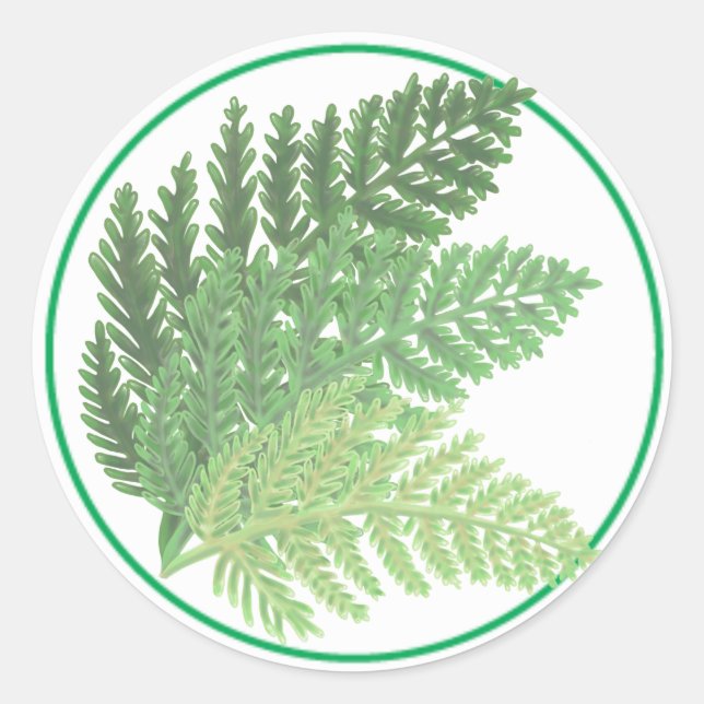 Moss Green Fern Classic Round Sticker (Front)