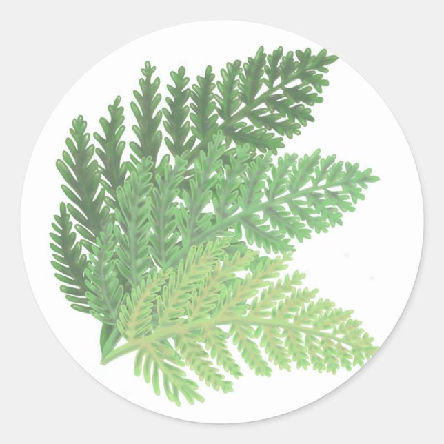 Moss Green Fern Classic Round Sticker (Front)