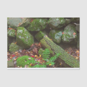 Moss in the Woods  Tissue Paper