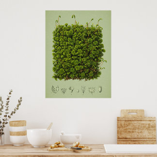 Moss motif poster
