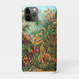 Moss (Muscinae) by Haeckel iPhone 11 Pro Case