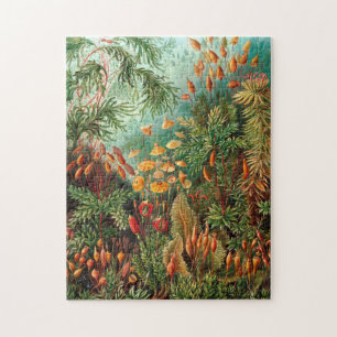 Moss (Muscinae) by Haeckel Jigsaw Puzzle