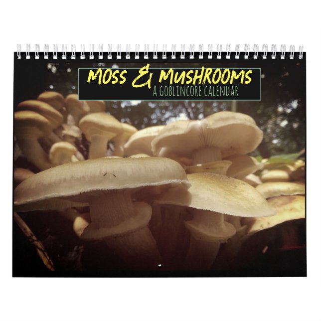 Moss & Mushrooms Goblincore Calendar (Cover)