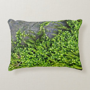 Moss on stone (Entodon seductrix) Accent Pillow