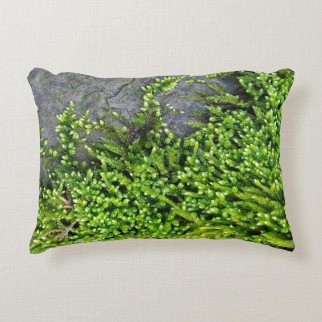 Moss on stone (Entodon seductrix) Accent Pillow (Front)
